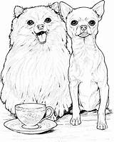 Dog Breed Coloring Pages sketch template