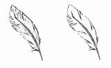 Feather Coloring Page » Turkau sketch template