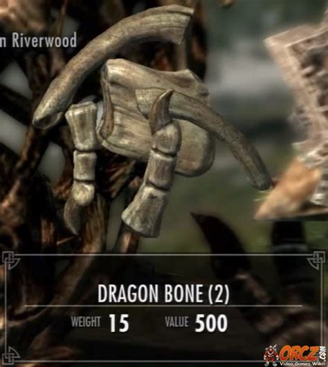 Skyrim: Dragon Bone - Orcz.com, The Video Games Wiki