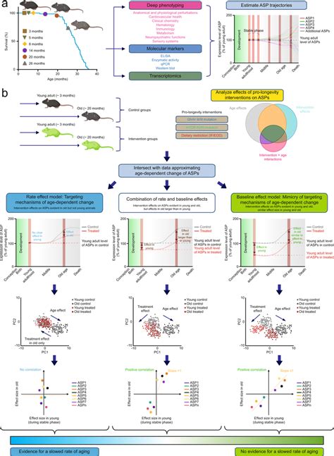 To what extent can aging, measured as a multidimensional representation... | Download Scientific ...