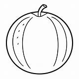 Premium Vector  Cantaloupe coloring Page vector Illustration sketch template