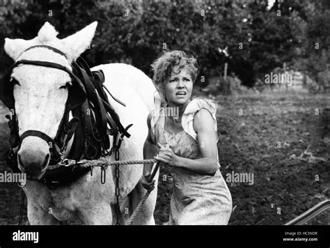 PLACES IN THE HEART, Sally Field, 1984, ©TriStar Pictures/courtesy Everett Collection Stock ...