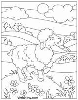Free SHEEP Coloring Pages For Download Printable PDF sketch template