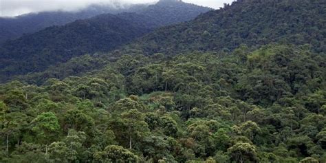 UNESCO declara al Chocó Andino de Pichincha como Reserva de Biósfera