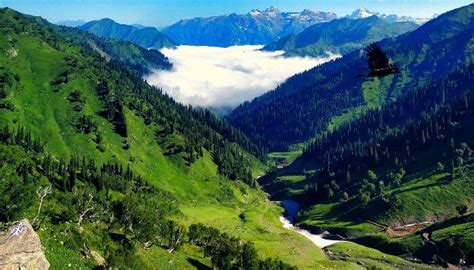 पटनीटॉप पर्यटकों का सबसे लोकप्रिय हिल स्टेशन - Patnitop Hill Station in ...