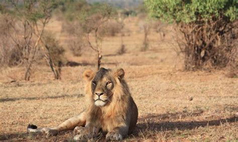 Samburu National Reserve - Maasai Mara National Reserve