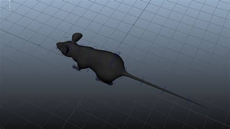 Rat mouse 3D model - TurboSquid 1589857