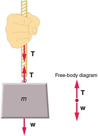 2.6: Normal Force and Tension - Physics LibreTexts