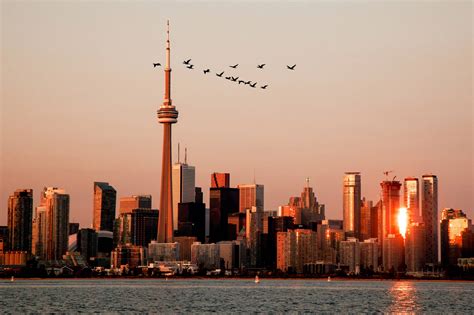 Toronto is now under a heat warning as temperatures soar above 30 C