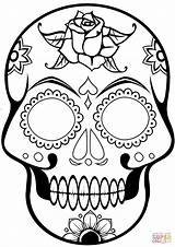 Skull Coloring Pages  Free Download On ClipArtMag sketch template