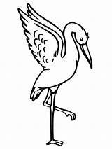 Stork Coloring Pages  Best Coloring For Kids sketch template