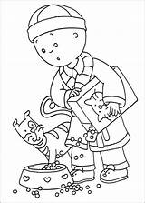 caillou sarah coloring Pages 520415 sketch template