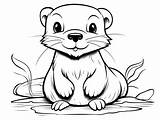 Otter Coloring Adventure  Page sketch template