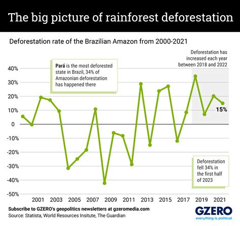 The Graphic Truth: The big picture of rainforest deforestation - GZERO ...