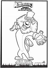 Collection Of Madagascar Coloring Pages  Free Printable sketch template