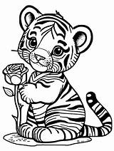 Baby Tiger With A Rose Coloring Page · Creative Fabrica sketch template