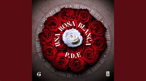 Una Rosa Blanca - YouTube