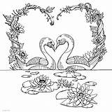 Realistic Swan Coloring Page sketch template