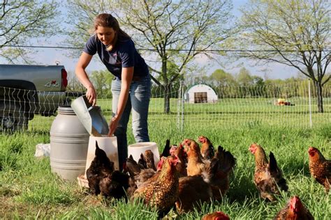 Mixed Crop And Livestock Farming