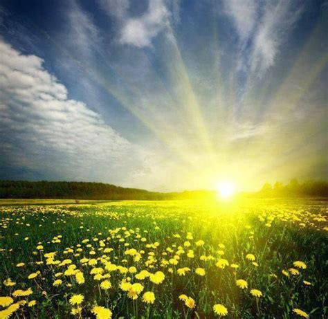 Oh glorious sunshine! | ღ Sunshine ღ | Pinterest