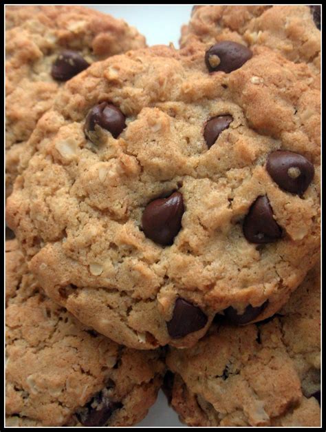 File:Chocolate Chip Oatmeal Cookies detail.jpg - Wikimedia Commons