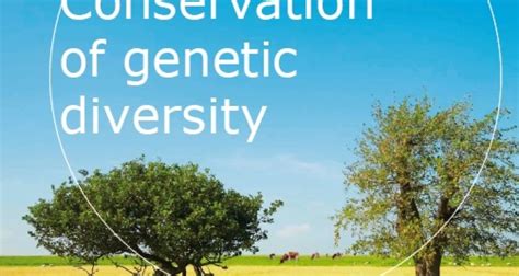 Conservation of genetic diversity - WUR