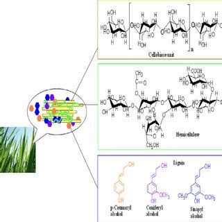 Schematic representation of the production of pyroligneous acid from ...