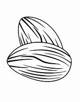 Free Printable Almond Picture Coloring Page sketch template
