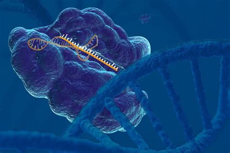 Using CRISPR Gene Editing Technology as a Research Tool to Develop Cancer Treatments