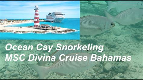 Ocean Cay snorkeling Bahamas | MSC Divina cruise | Lighthouse Bay ...