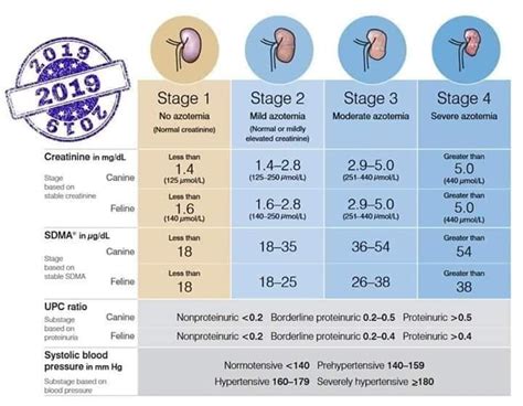 New IRIS Staging System 2019 - Renalmanage English