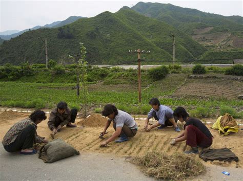 Hunger Still Haunts North Korea, Citizens Say : NPR