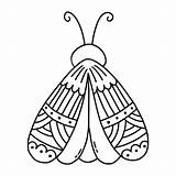 Premium Vector  Moth With Ornament On Wing night butterfly In Doodle sketch template