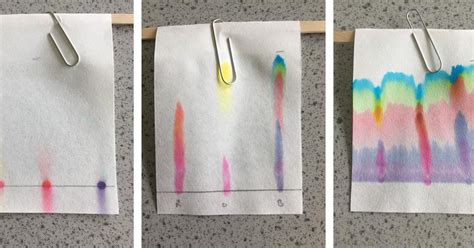 ⭐ Paper chromatography of amino acids lab report. Experiment 8 Paper ...