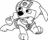 Everest Zuma Skye Paw Patrol Coloring Page Printable sketch template