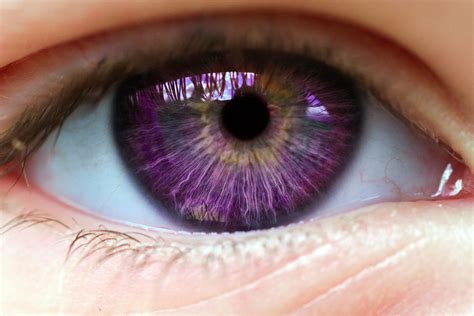 Purple eye by Nygter on DeviantArt