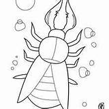 Centipede Coloring Page sketch template