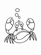 A Cartoon Crab coloring Page  Download Print Or Color Online For Free sketch template