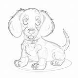 Dachshund Dog Coloring Pages  Mimi Panda sketch template