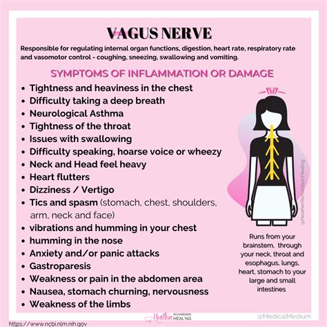 Symptoms of an inflamed Vagus Nerve | Vagus nerve, Sneezing, Inflammation