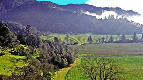 Napa Valley day trip from San Francisc