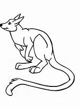 Wallaby coloring Pages sketch template
