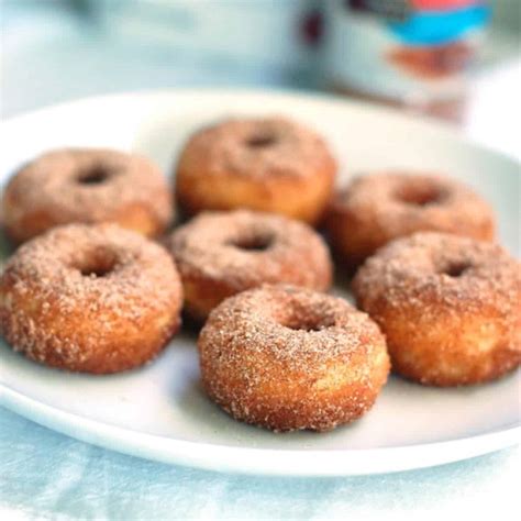 Cinnamon Sugar Mini Donuts Recipe - Pinch of Yum