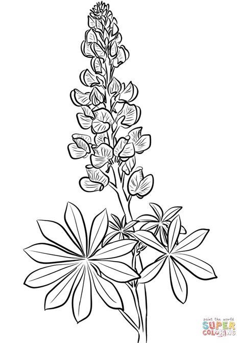 Lupine coloring page from Lupin category. Select from 27390 printable crafts of cartoons, nature ...