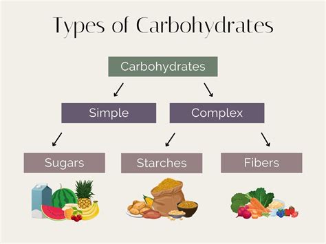 Main Groups Of Carbohydrates
