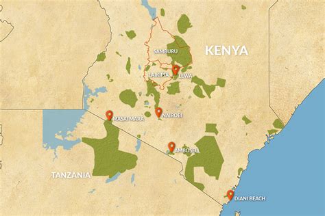 [Best Kenya Safari Guide] Everything to Know About Kenya Safaris