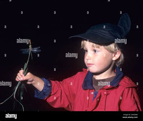 Boy watching a dragonfly Stock Photo - Alamy