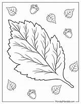 Autumn Leaves Coloring Sheets Printable  Free Sheet sketch template