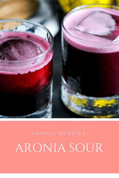 Aronia Whiskey Sour Cocktail - aronia berry simple syrup, rye whiskey ...