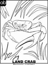 BAHAMAS JUNKANOO  FREE Bahamas Independence Coloring Page For Kids And sketch template